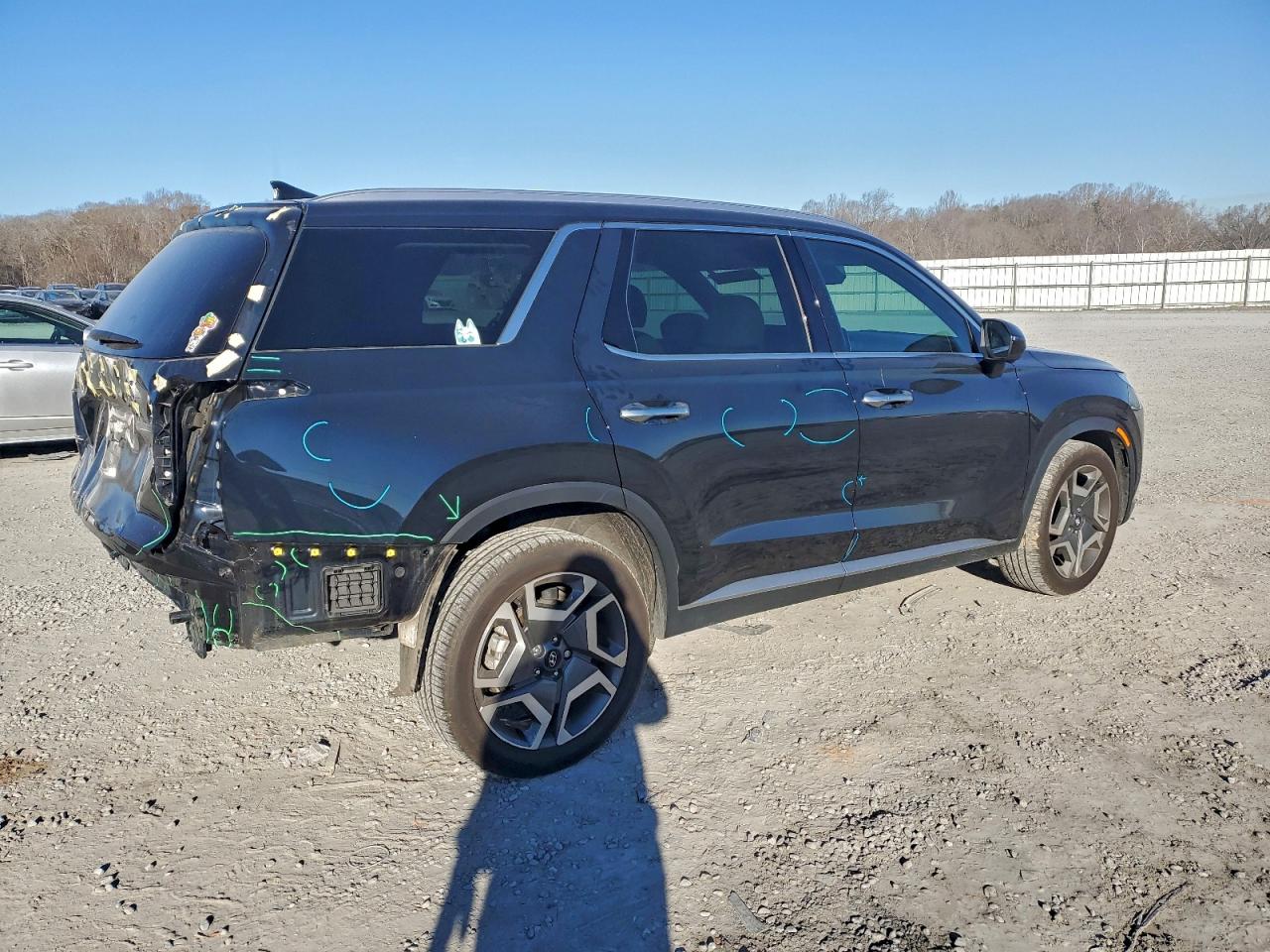 2024 HYUNDAI PALISADE SEL PREMIUM photo 3