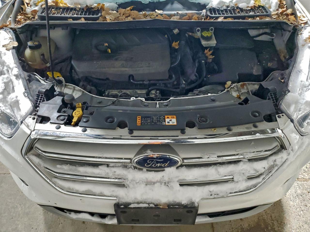2018 FORD ESCAPE SE photo 12