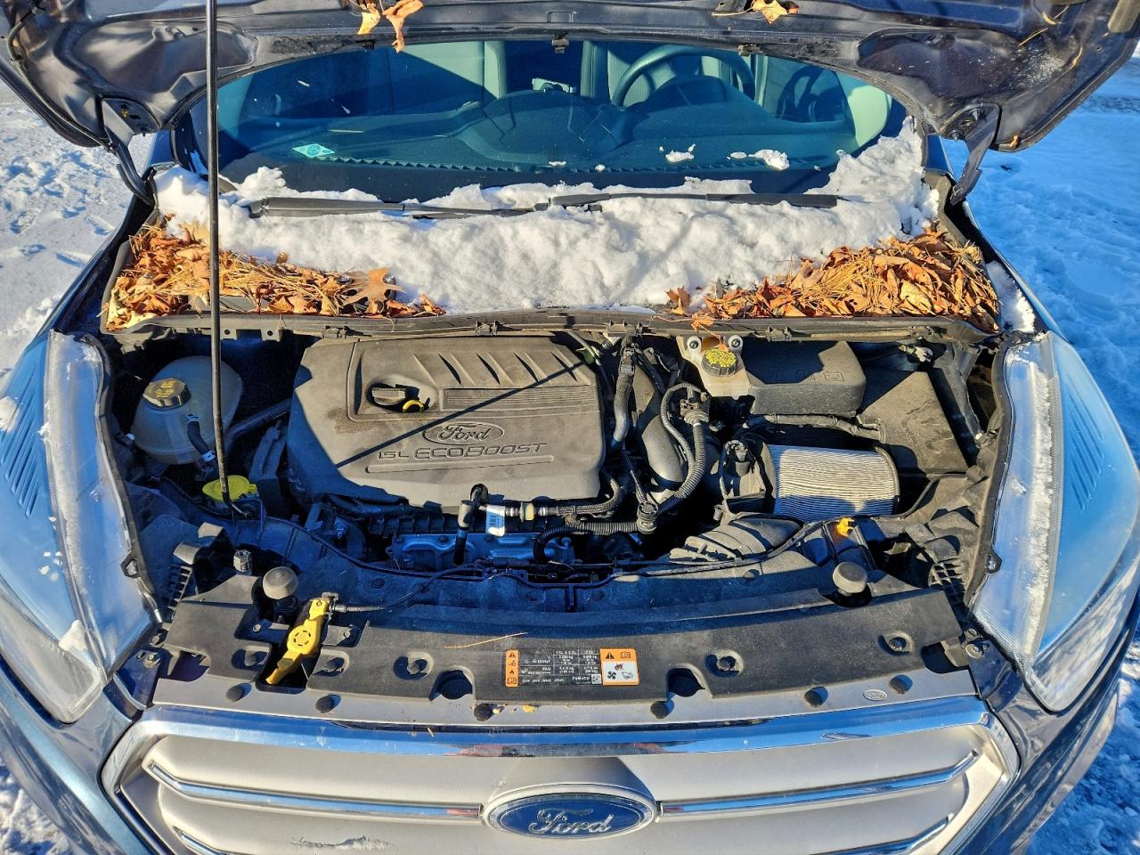 2018 FORD ESCAPE SE photo 11