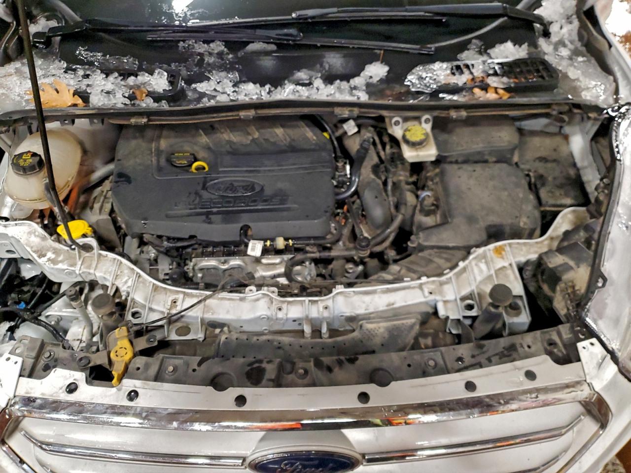 2018 FORD ESCAPE SE photo 12