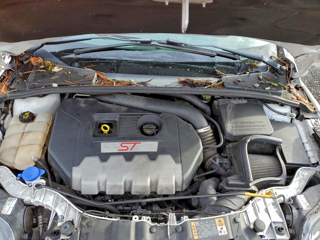 2014 FORD FOCUS ST photo 11
