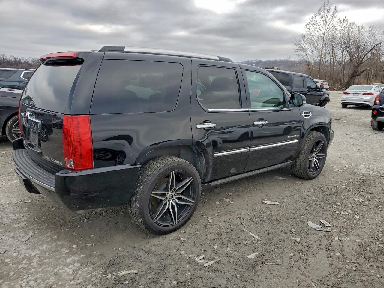 2010 CADILLAC ESCALADE PREMIUM photo 3