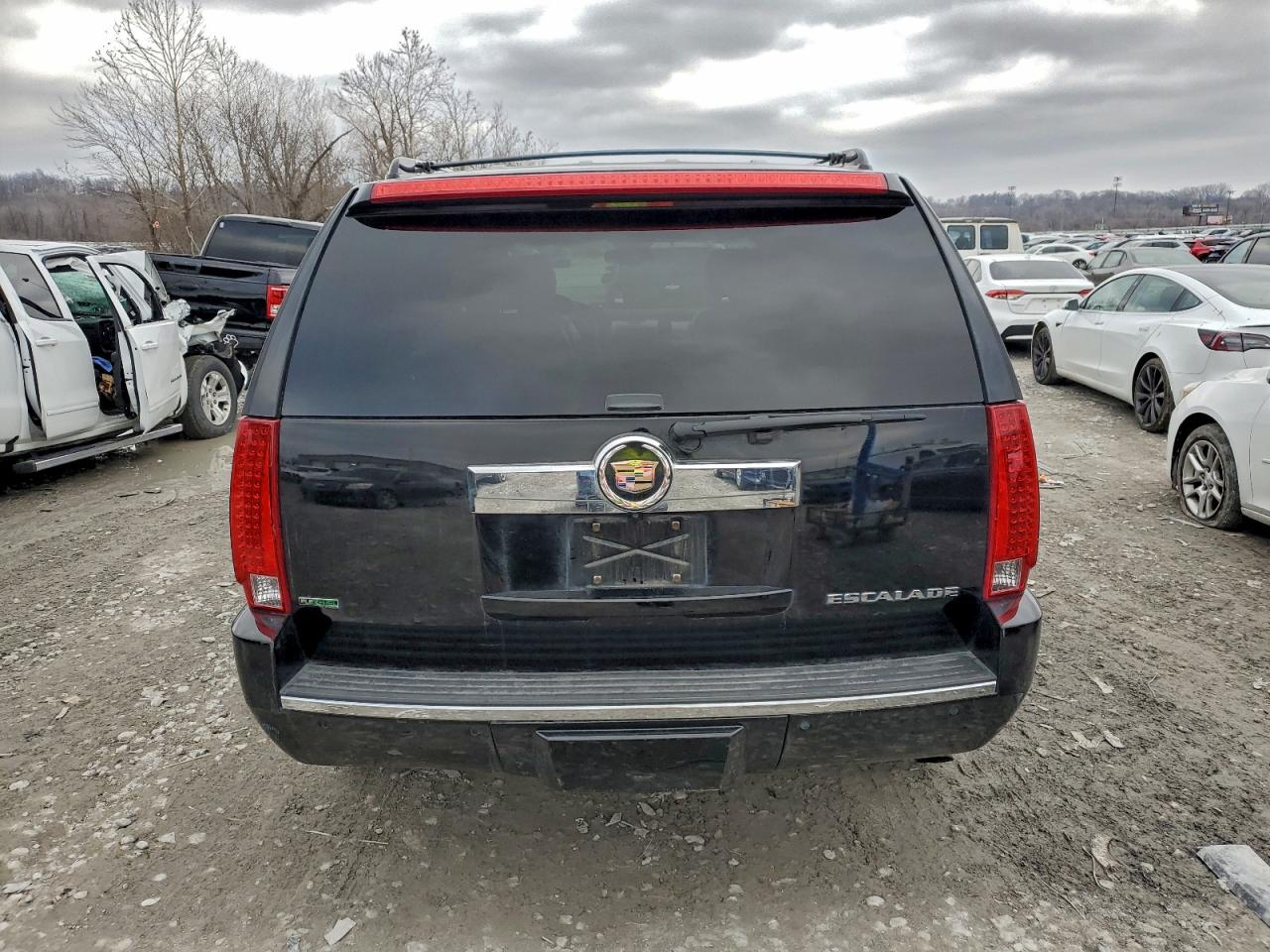 2010 CADILLAC ESCALADE PREMIUM photo 6