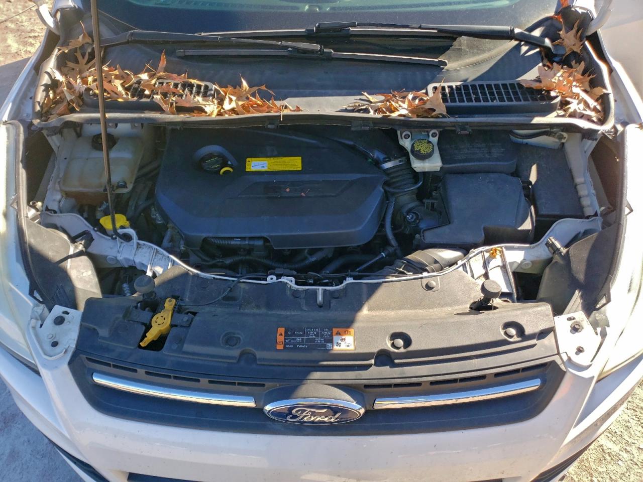 2015 FORD ESCAPE SE photo 12