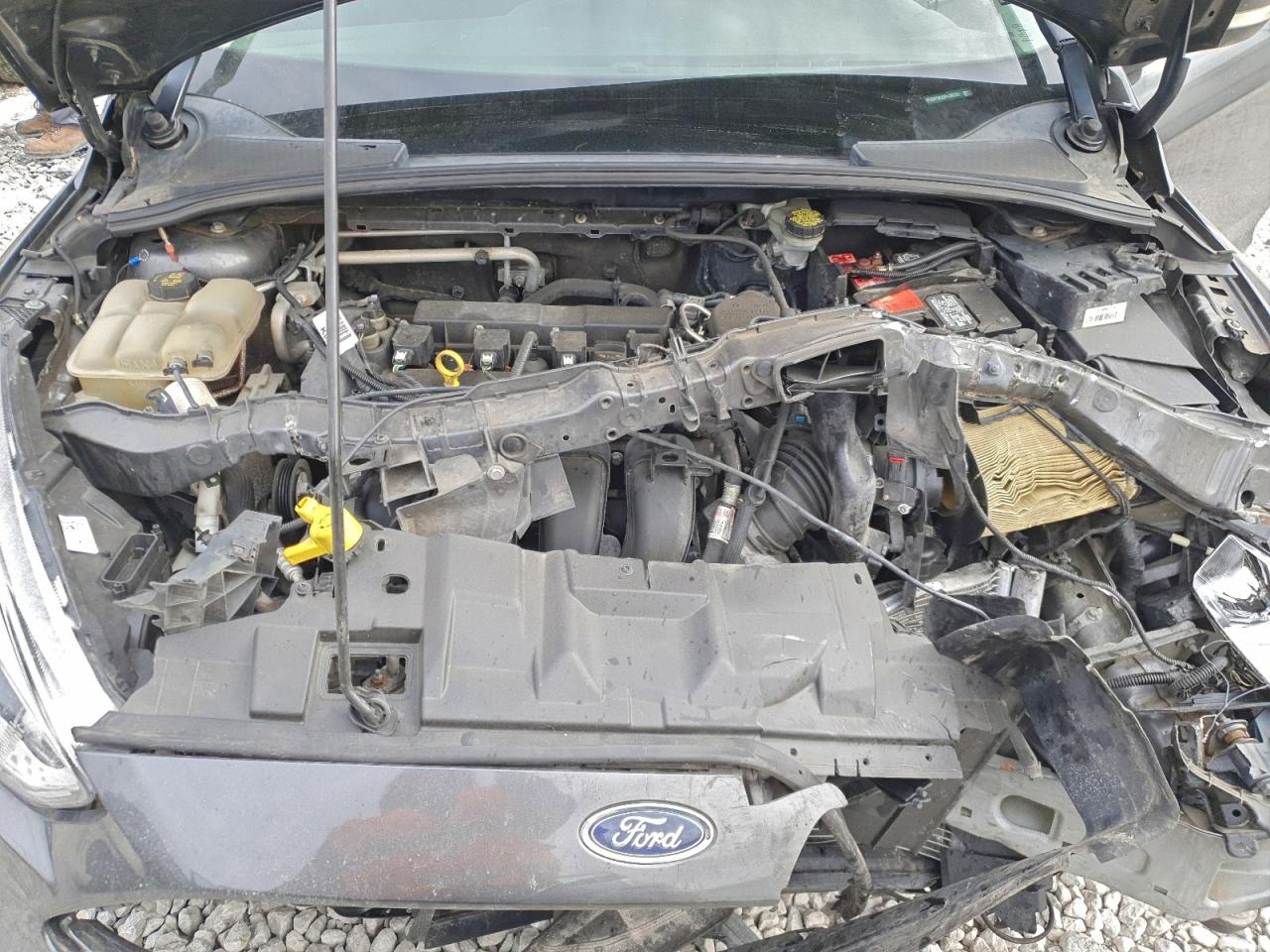 2015 FORD FOCUS SE photo 11
