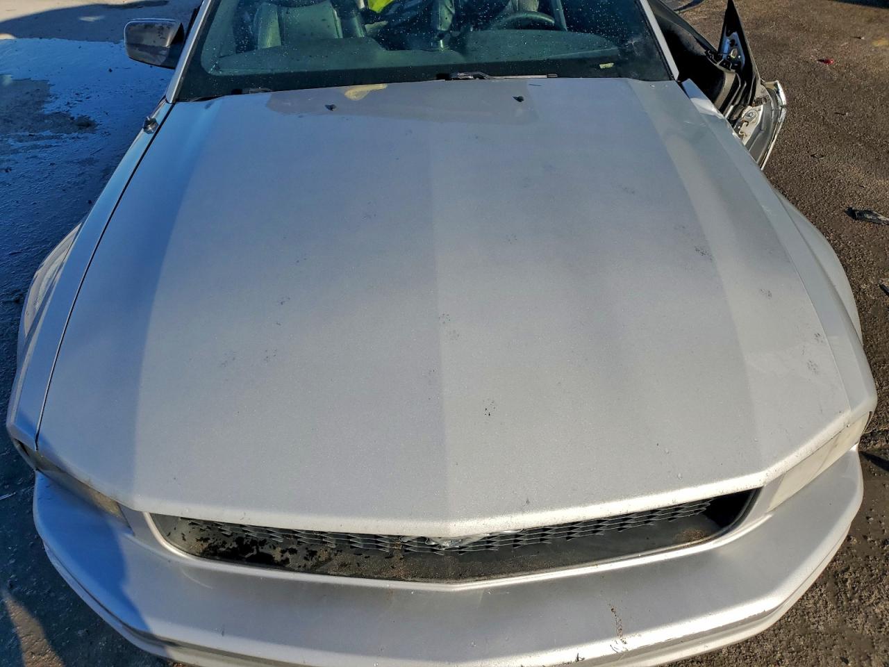 2007 FORD MUSTANG photo 11