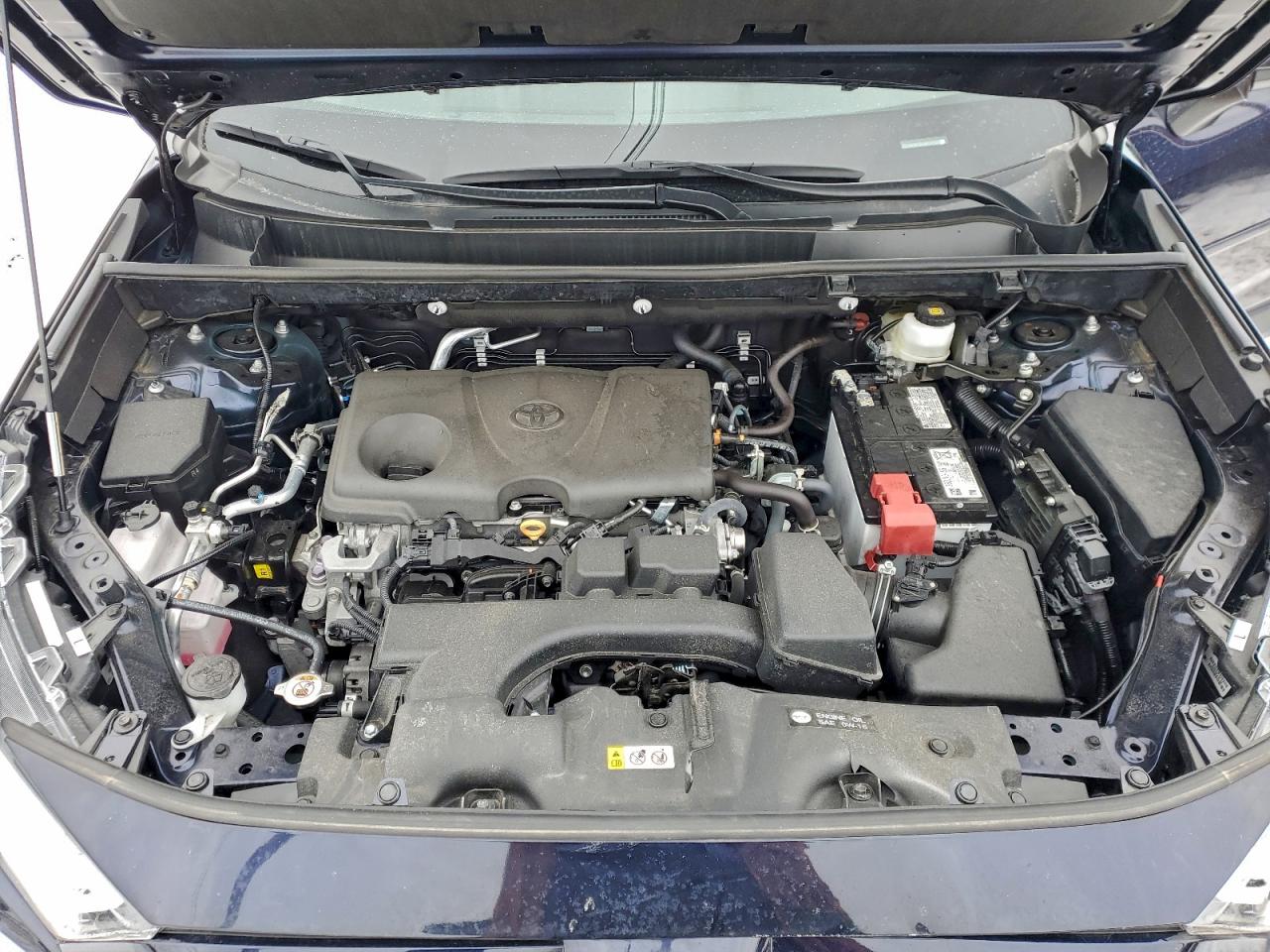 2025 TOYOTA RAV4 XLE PREMIUM photo 12