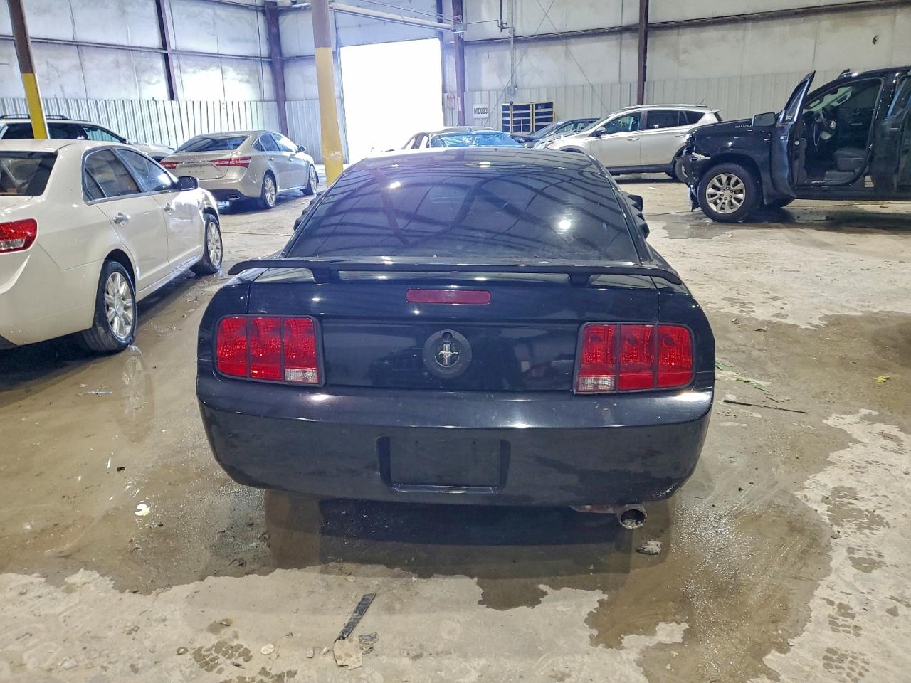 2005 FORD MUSTANG photo 6