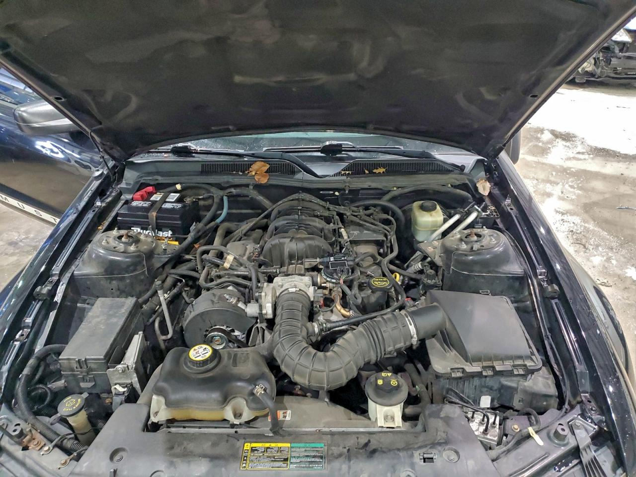 2005 FORD MUSTANG photo 11
