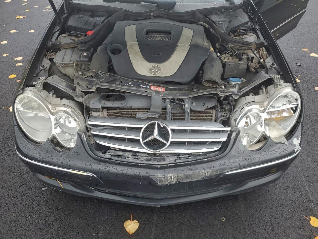 2009 MERCEDES-BENZ CLK 350 photo 11
