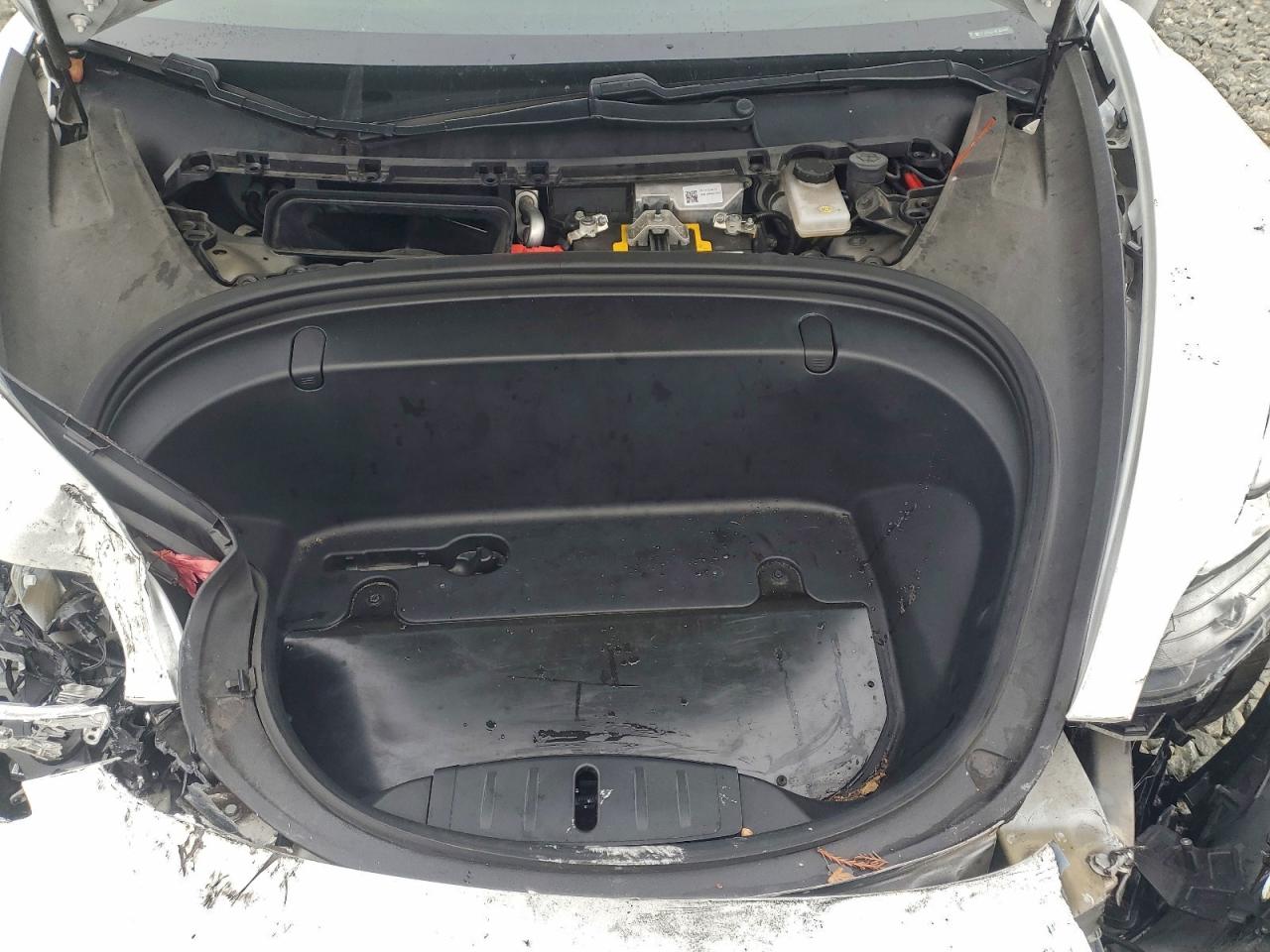2019 TESLA MODEL 3 photo 11