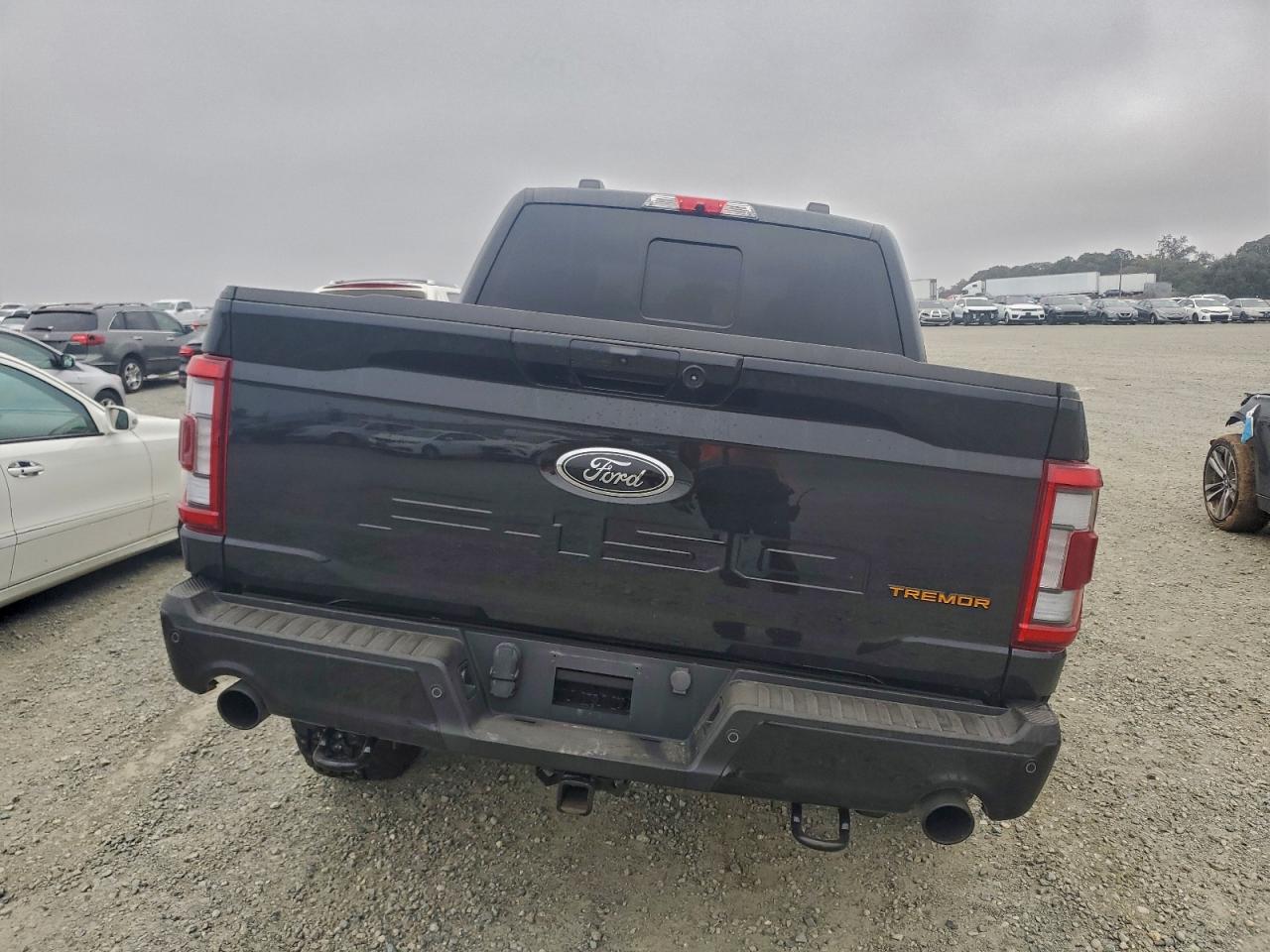 2023 FORD F150 SUPERCREW photo 6