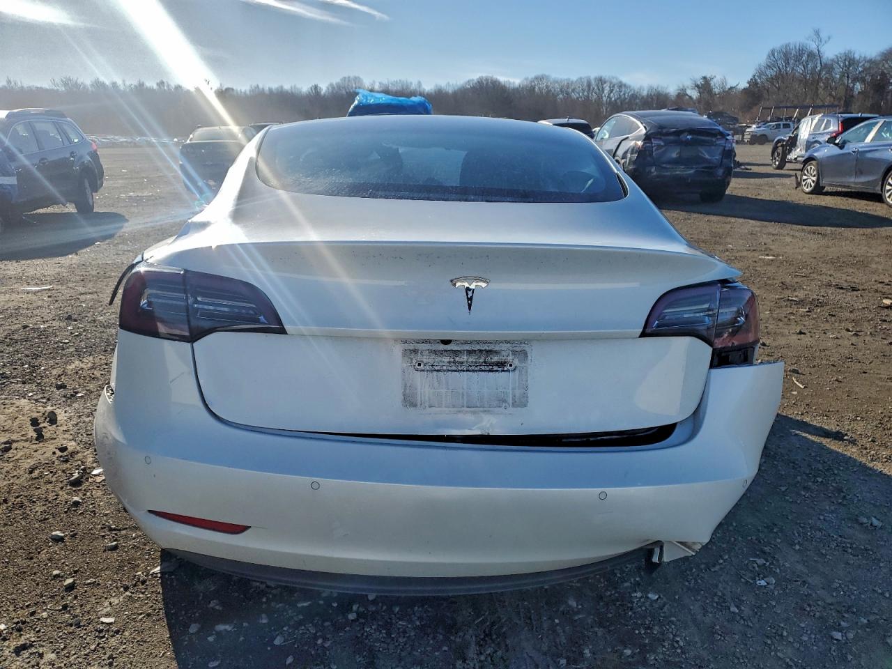 2021 TESLA MODEL 3 photo 6