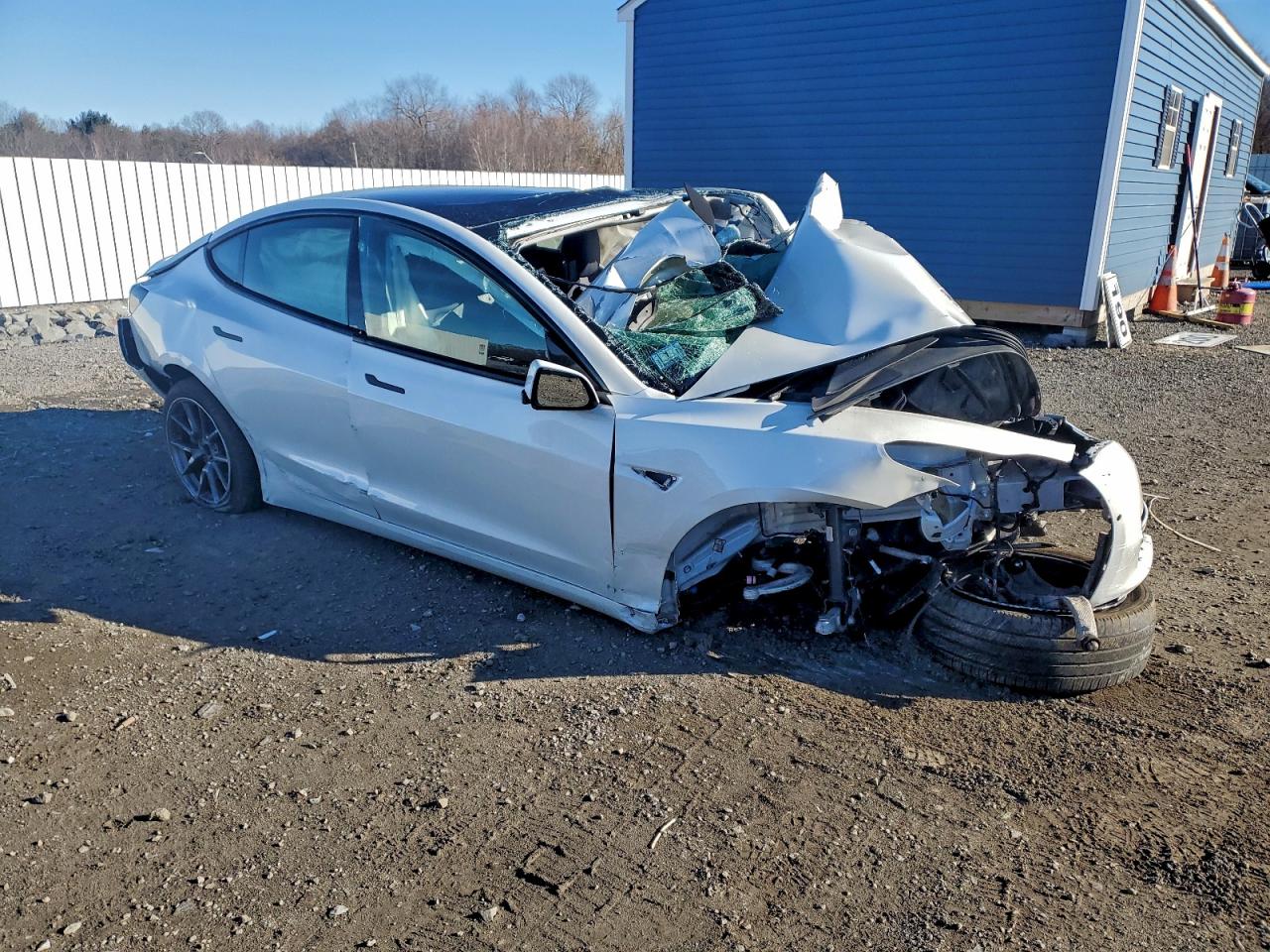 2021 TESLA MODEL 3 photo 4