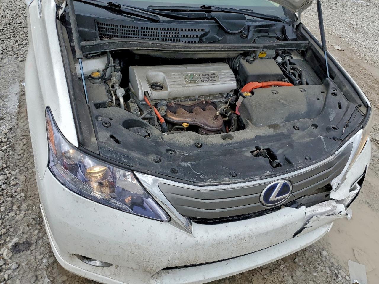 2010 LEXUS HS 250H photo 11