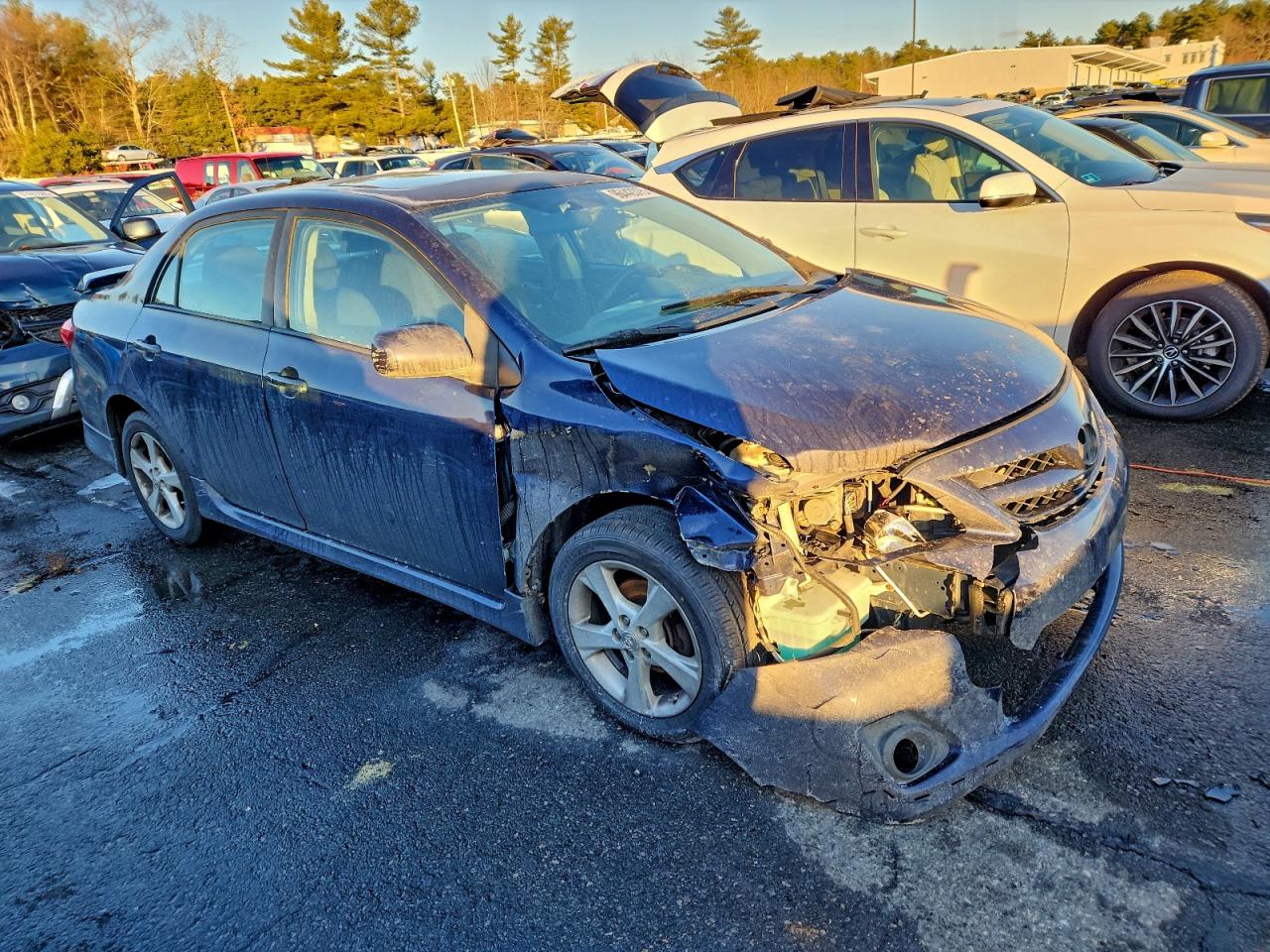 2011 TOYOTA COROLLA BASE photo 4
