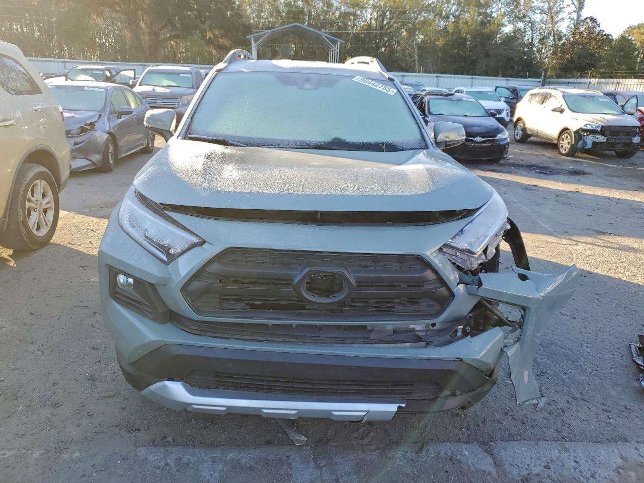 2019 TOYOTA RAV4 ADVENTURE photo 5