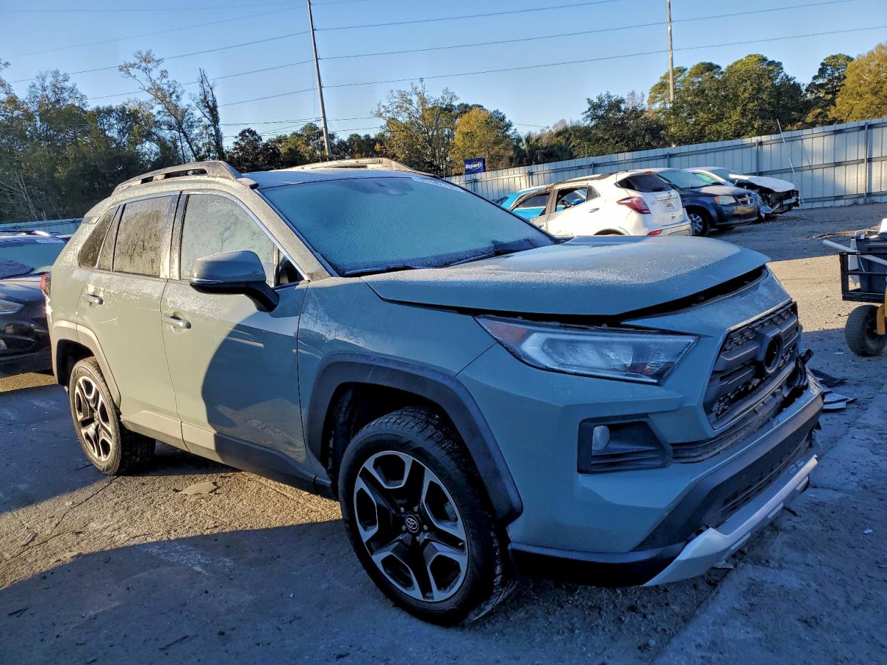 2019 TOYOTA RAV4 ADVENTURE photo 4