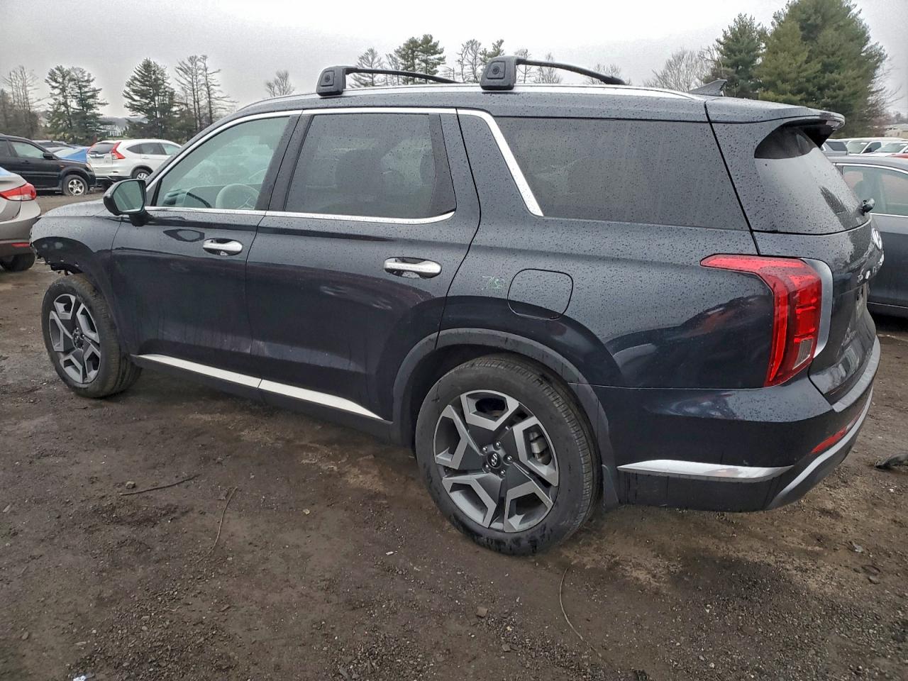 2024 HYUNDAI PALISADE LIMITED photo 2
