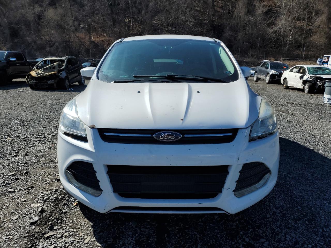 2016 FORD ESCAPE SE photo 5
