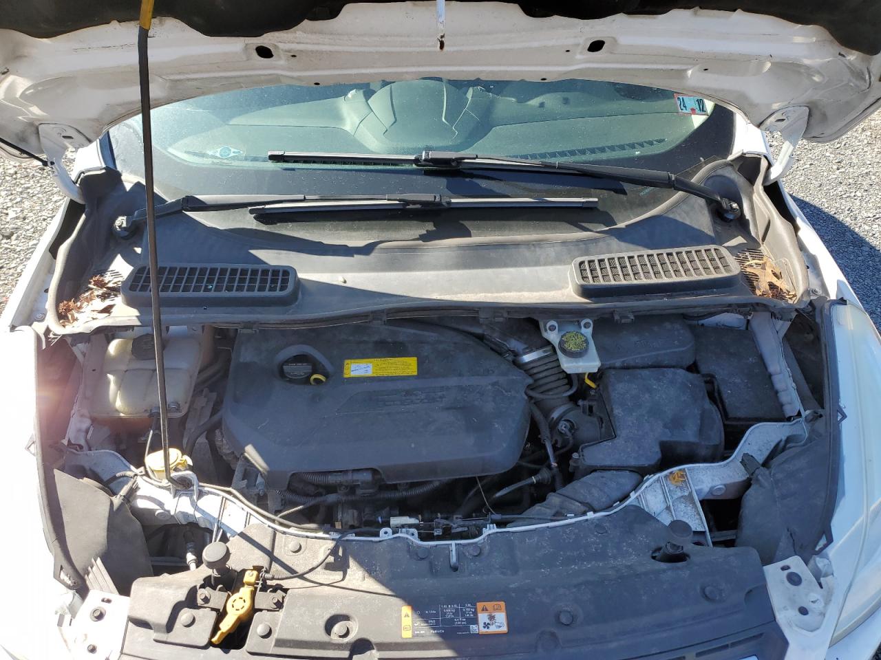 2016 FORD ESCAPE SE photo 12