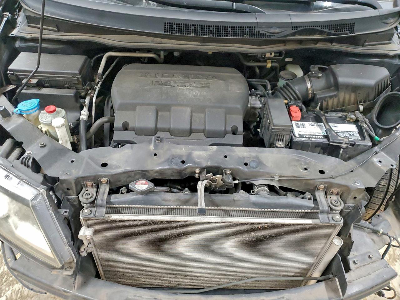 2014 HONDA ODYSSEY EXL photo 12