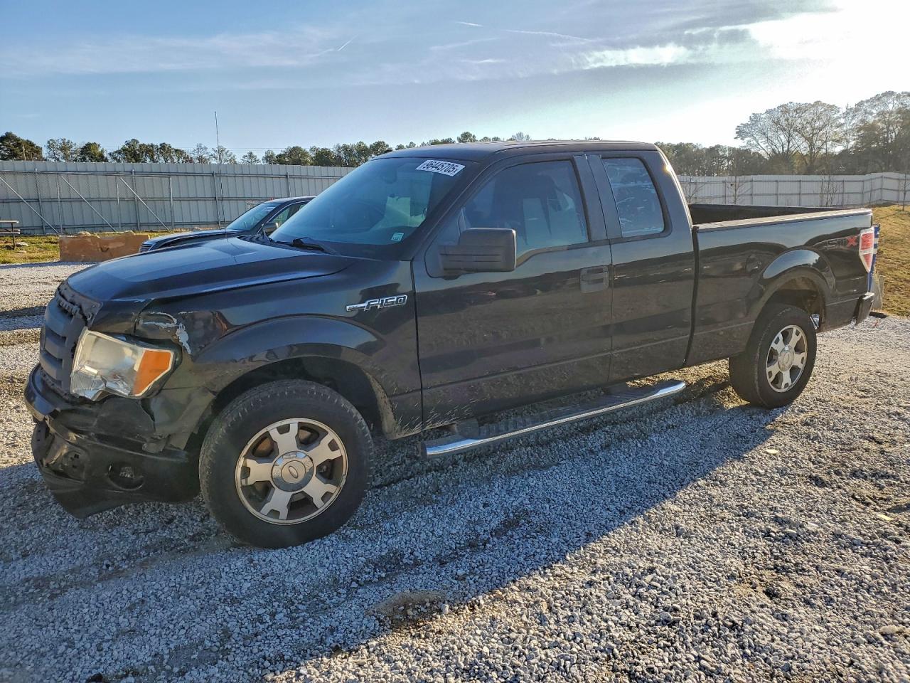 2010 FORD F150