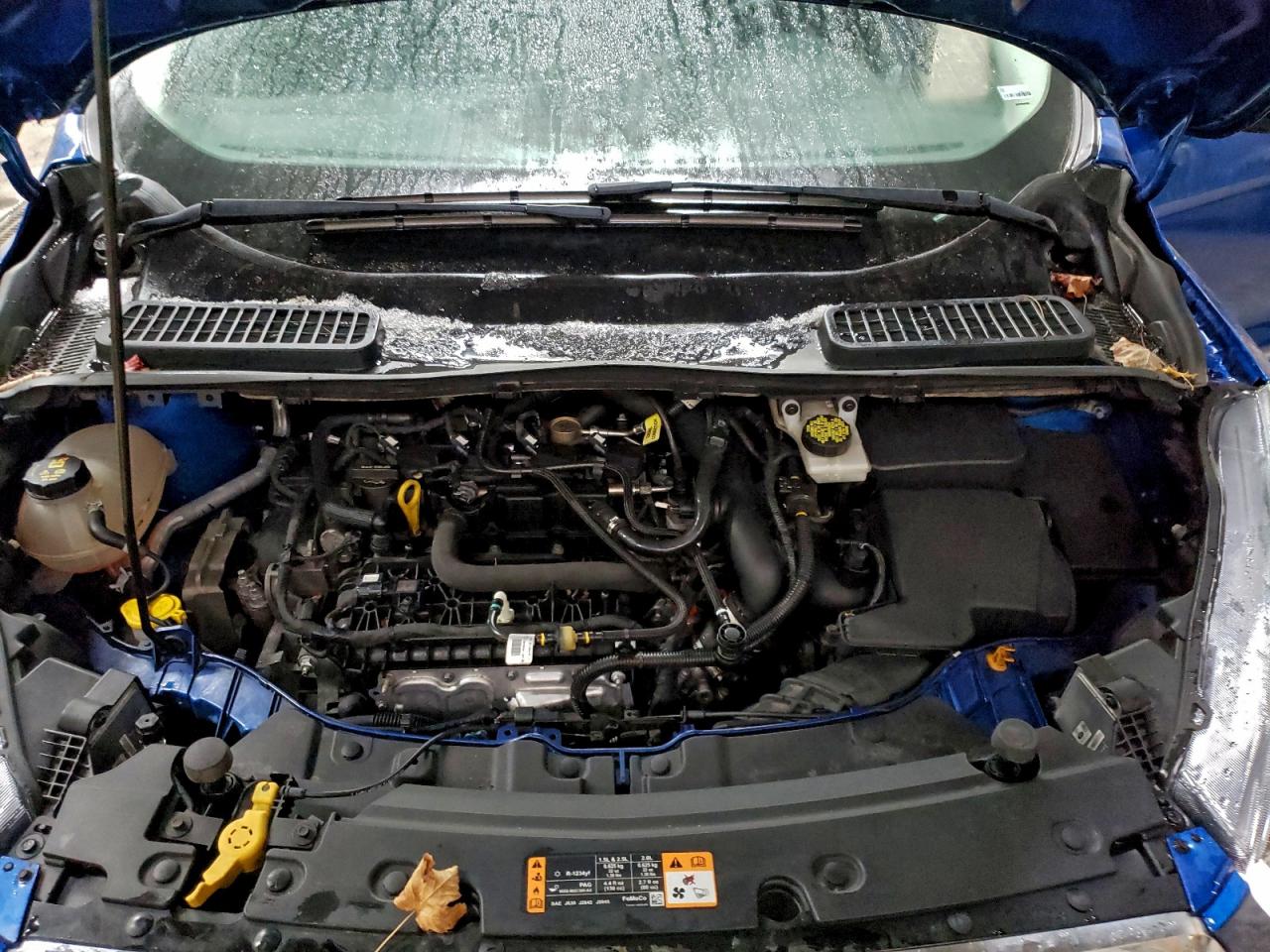 2019 FORD ESCAPE SE photo 12