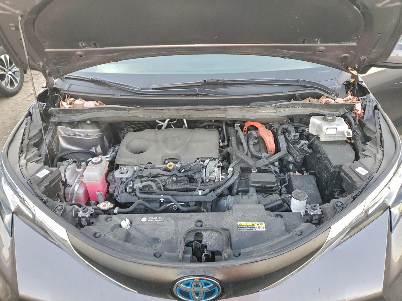 2021 TOYOTA SIENNA LE photo 12