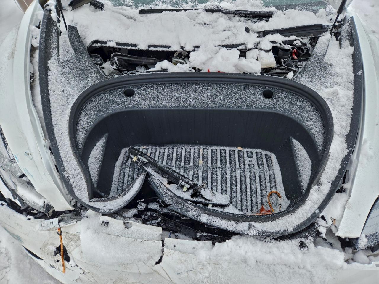 2021 TESLA MODEL 3 photo 11