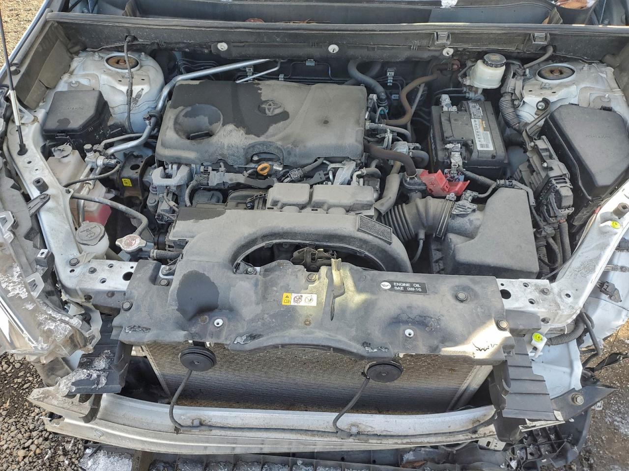 2019 TOYOTA RAV4 XLE photo 12