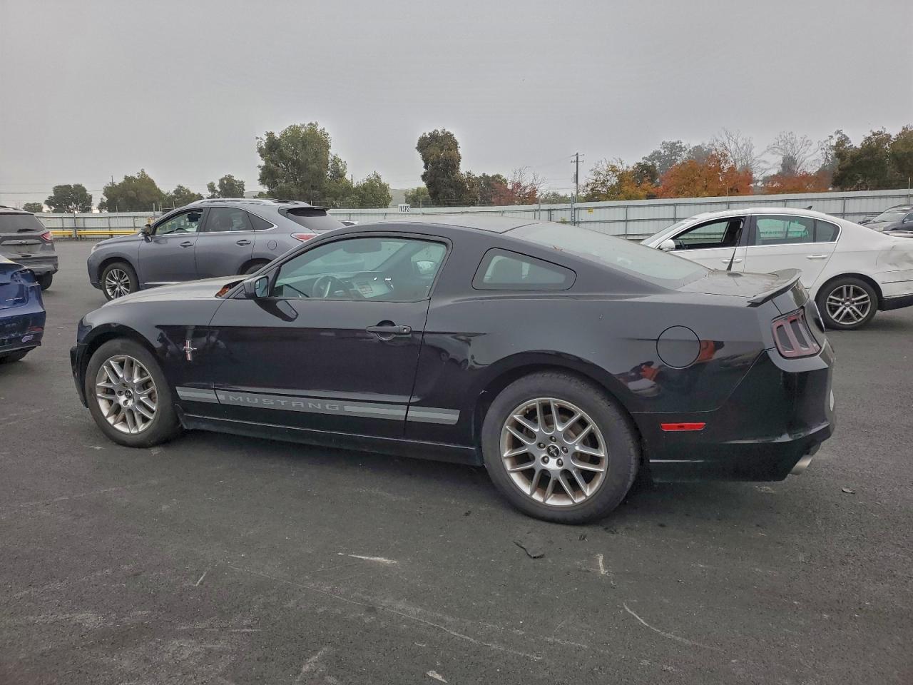 2014 FORD MUSTANG photo 3