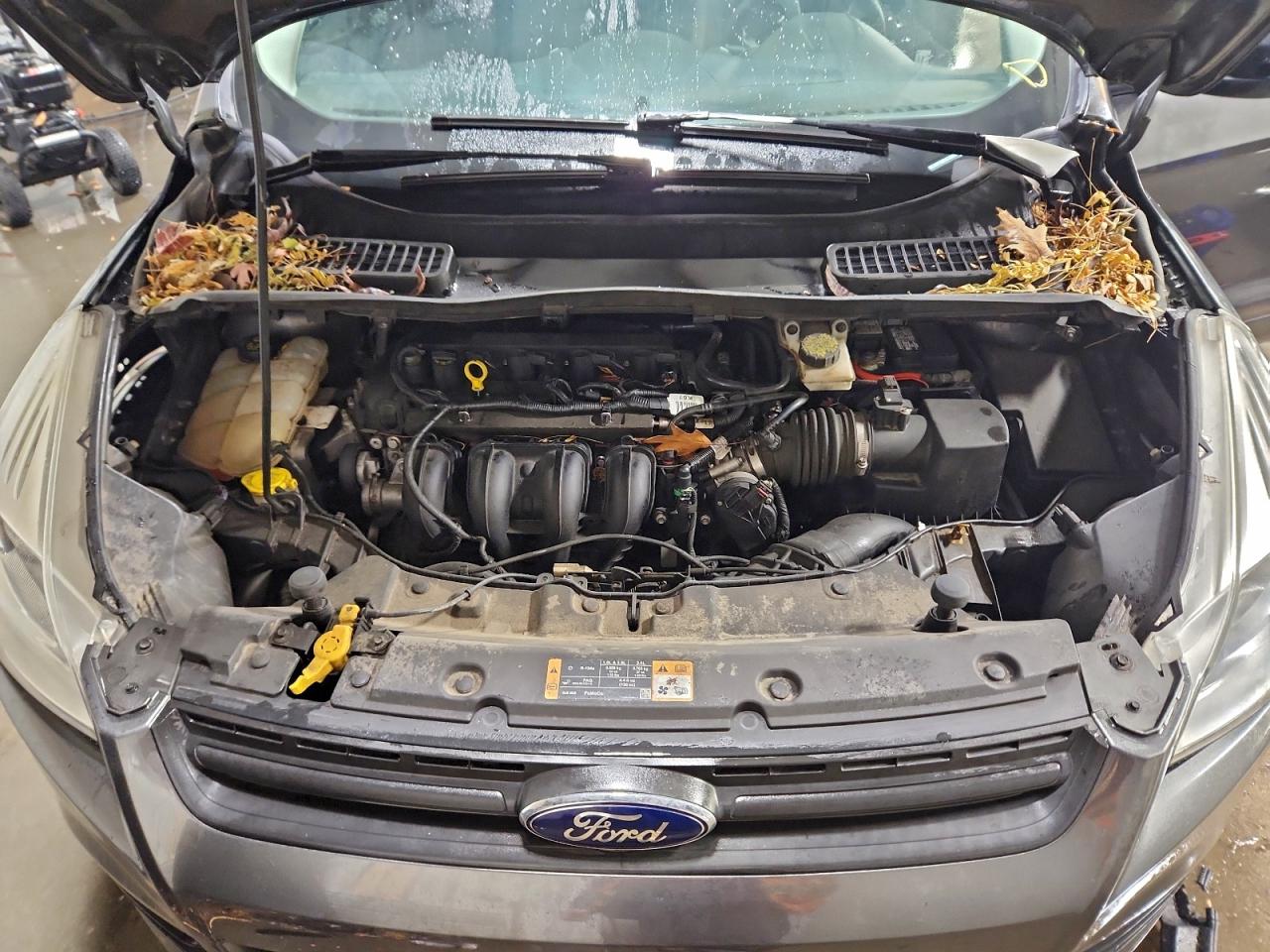 2016 FORD ESCAPE S photo 11