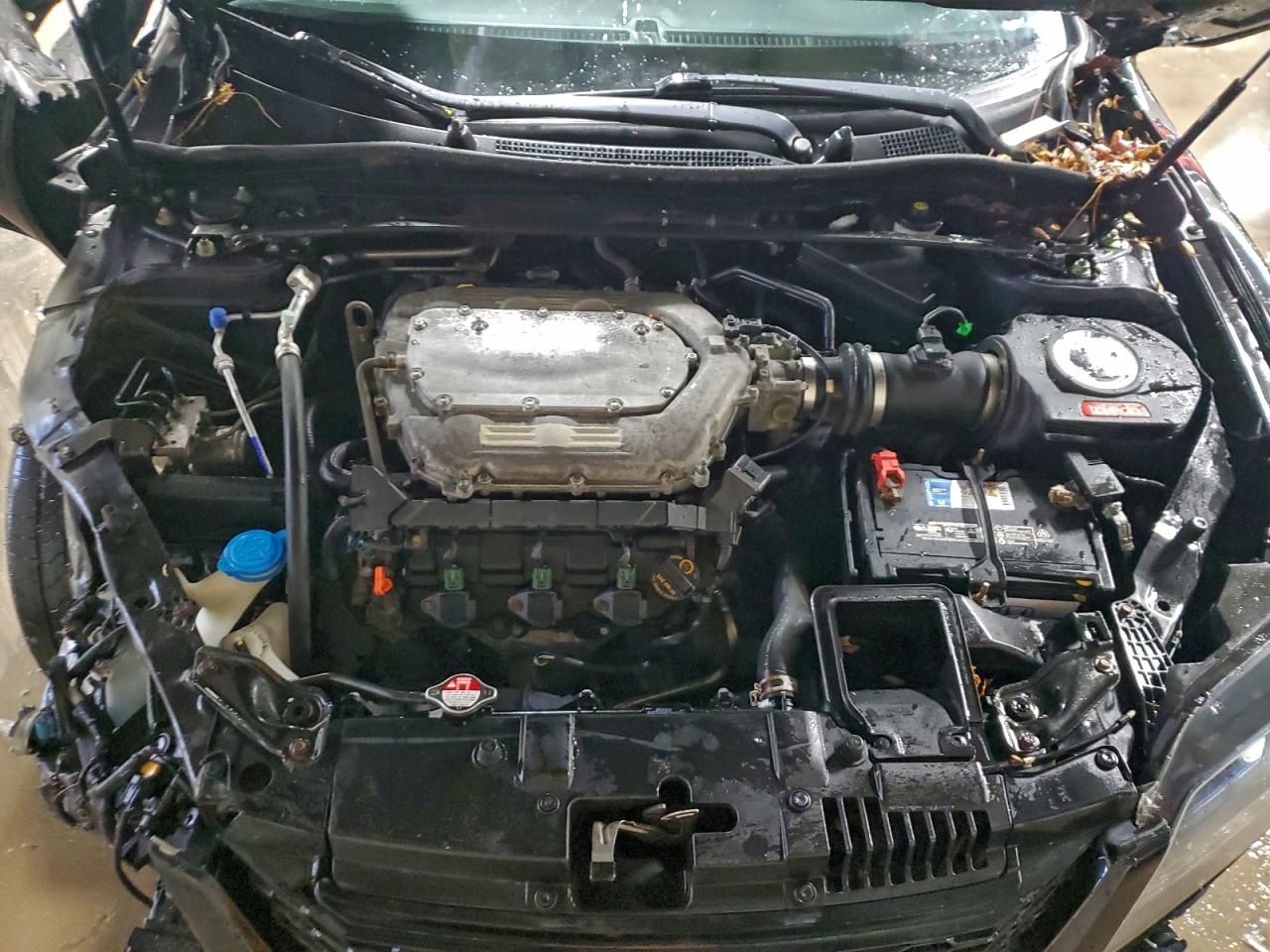 2014 HONDA ACCORD EXL photo 11
