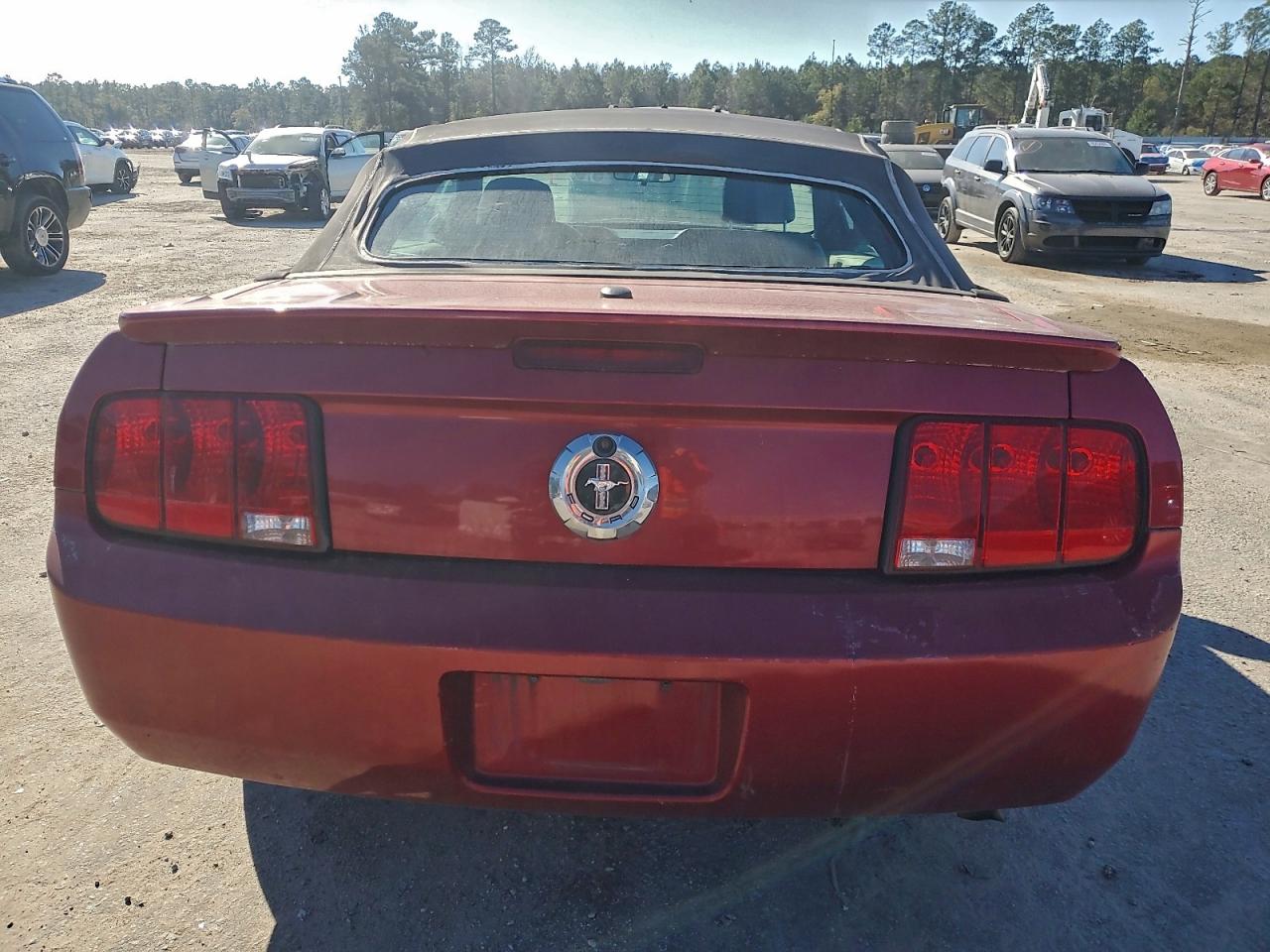 2007 FORD MUSTANG photo 6