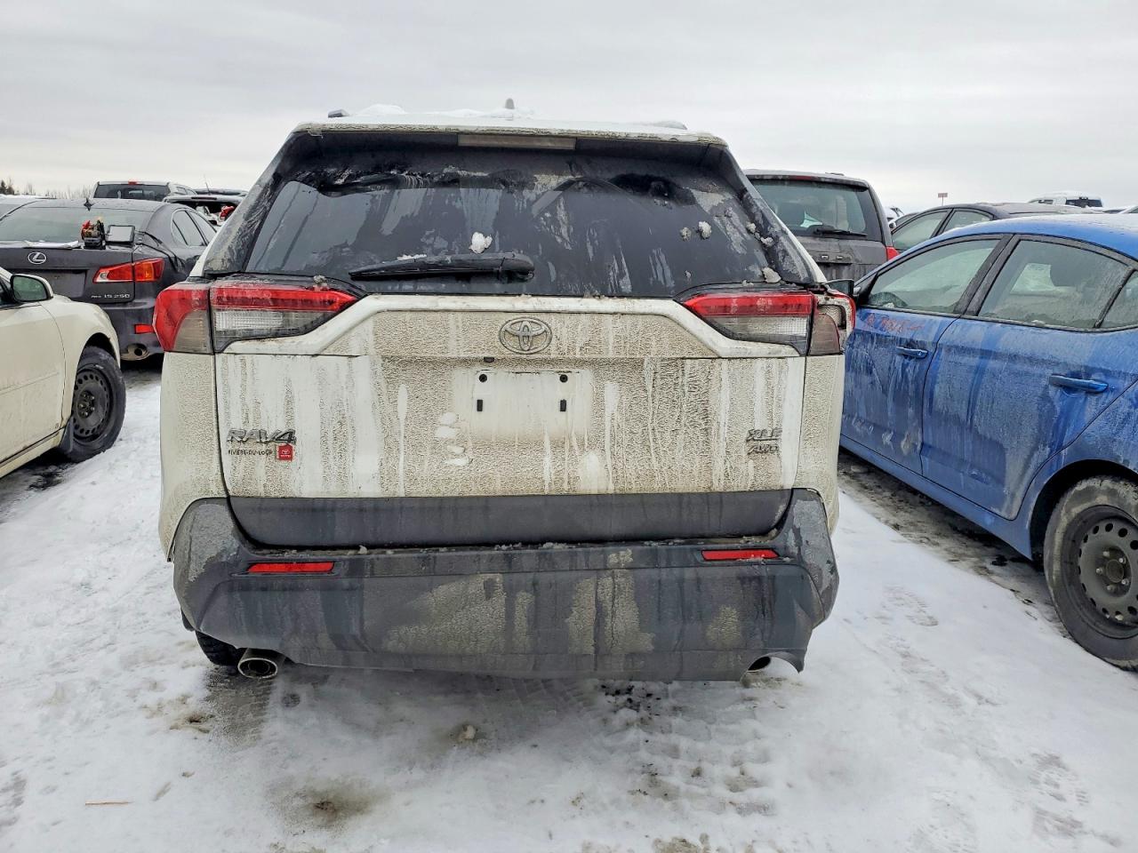 2022 TOYOTA RAV4 XLE photo 6