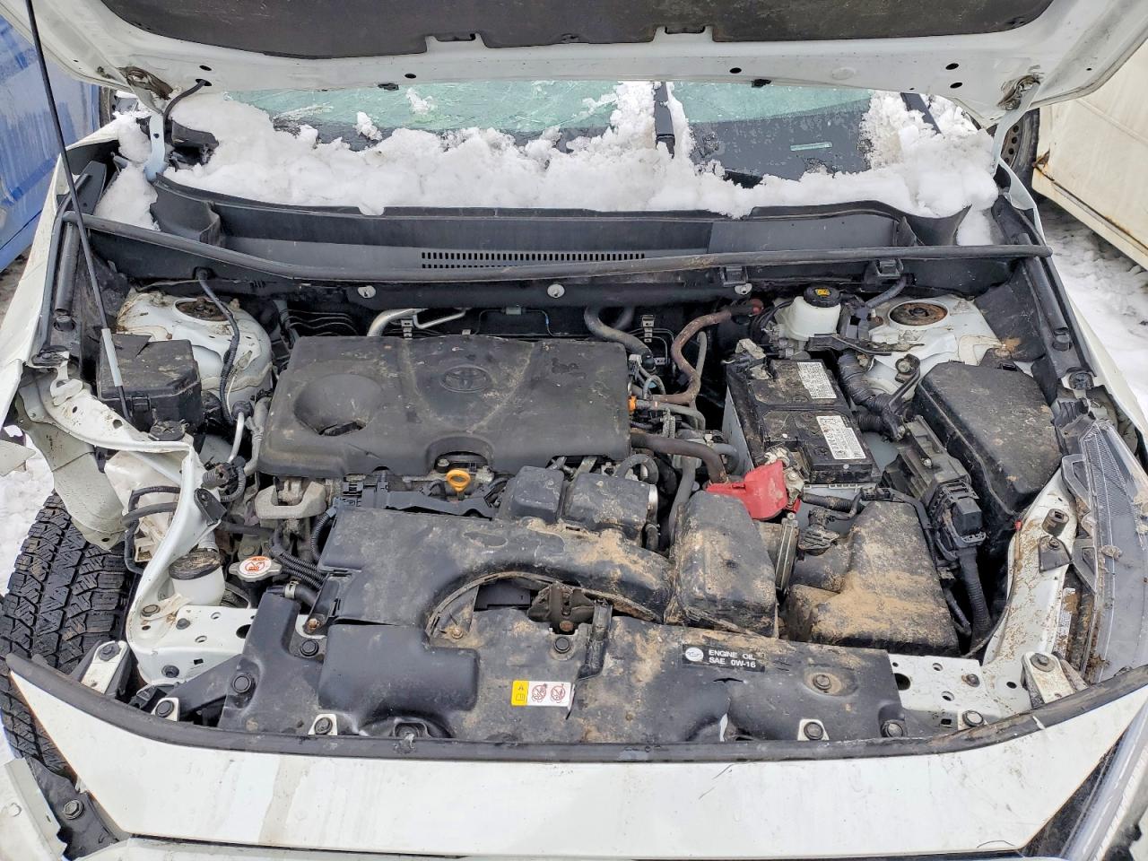 2022 TOYOTA RAV4 XLE photo 12