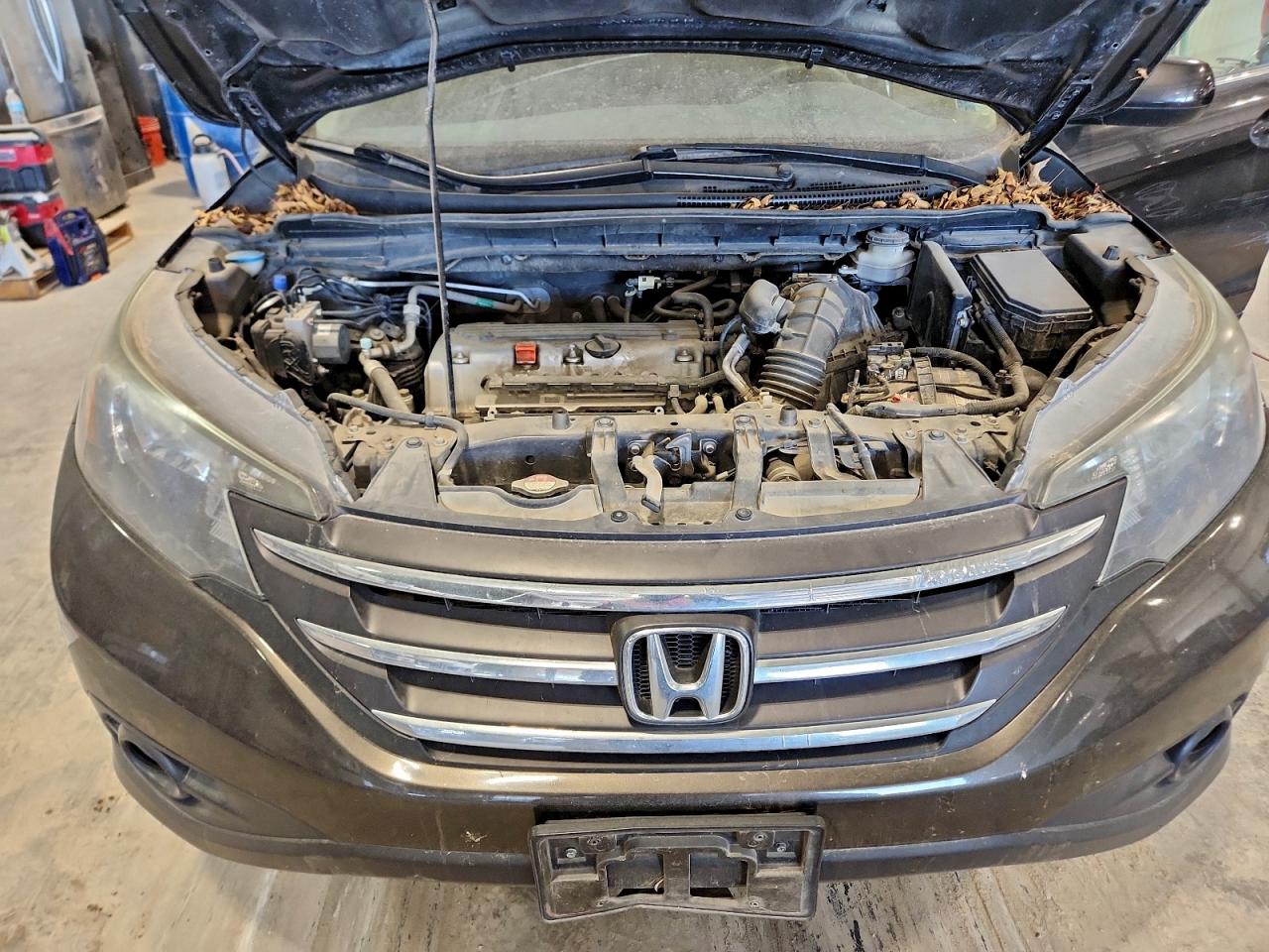 2014 HONDA CR-V EX photo 12