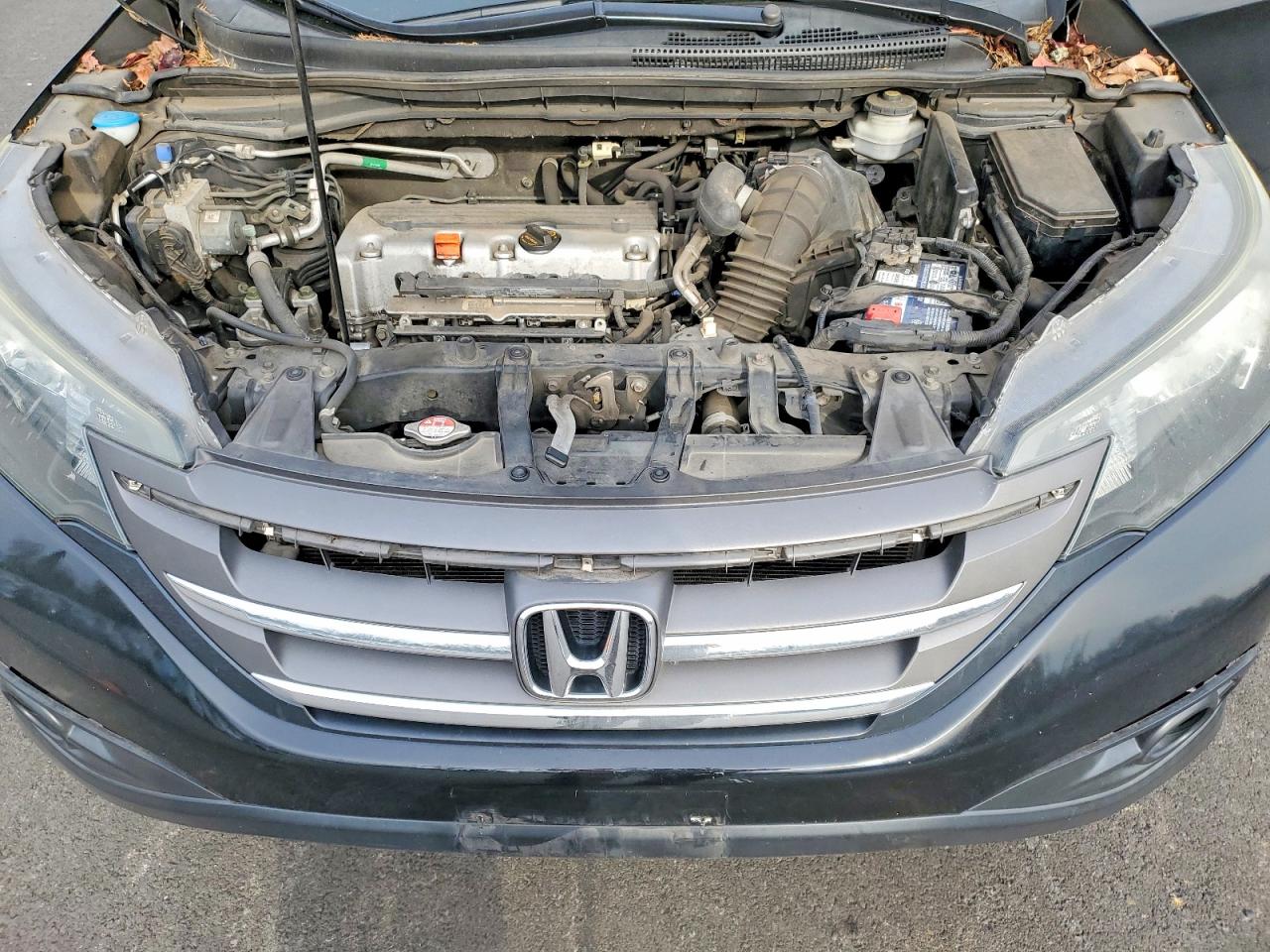 2014 HONDA CR-V EX photo 11