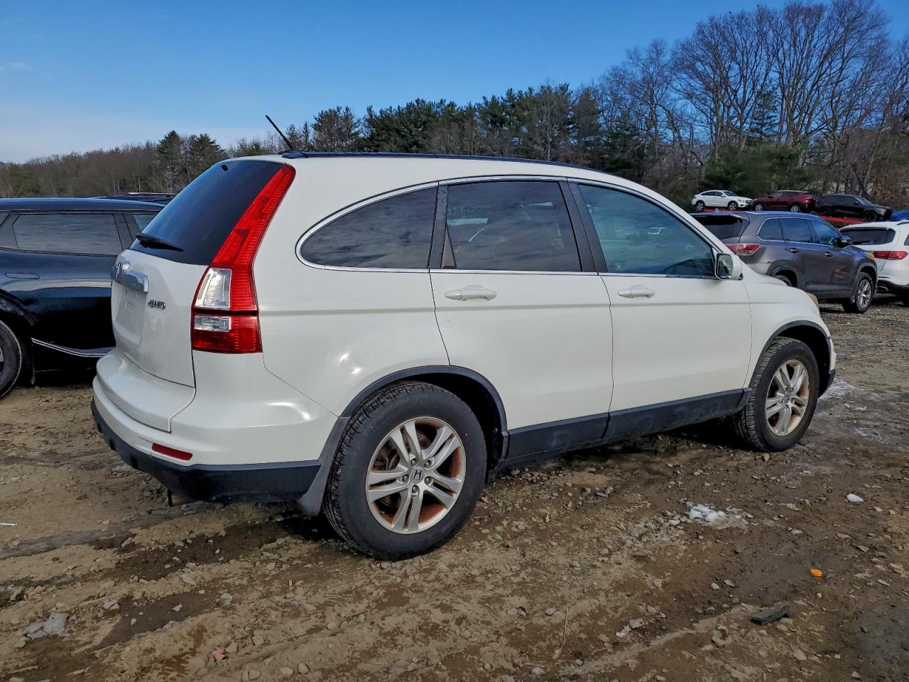 2010 HONDA CR-V EXL photo 3