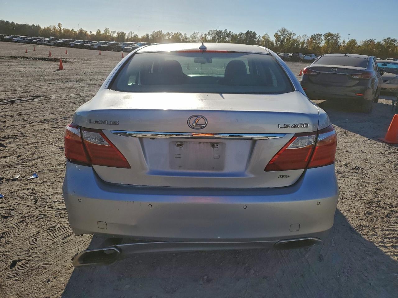 2010 LEXUS LS 460 photo 6