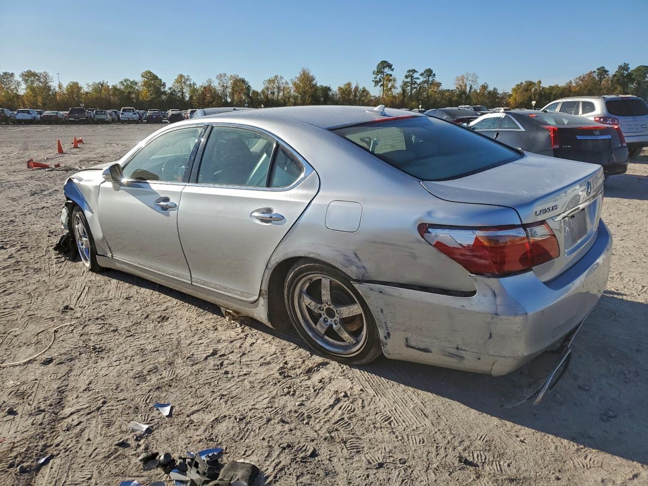 2010 LEXUS LS 460 photo 2