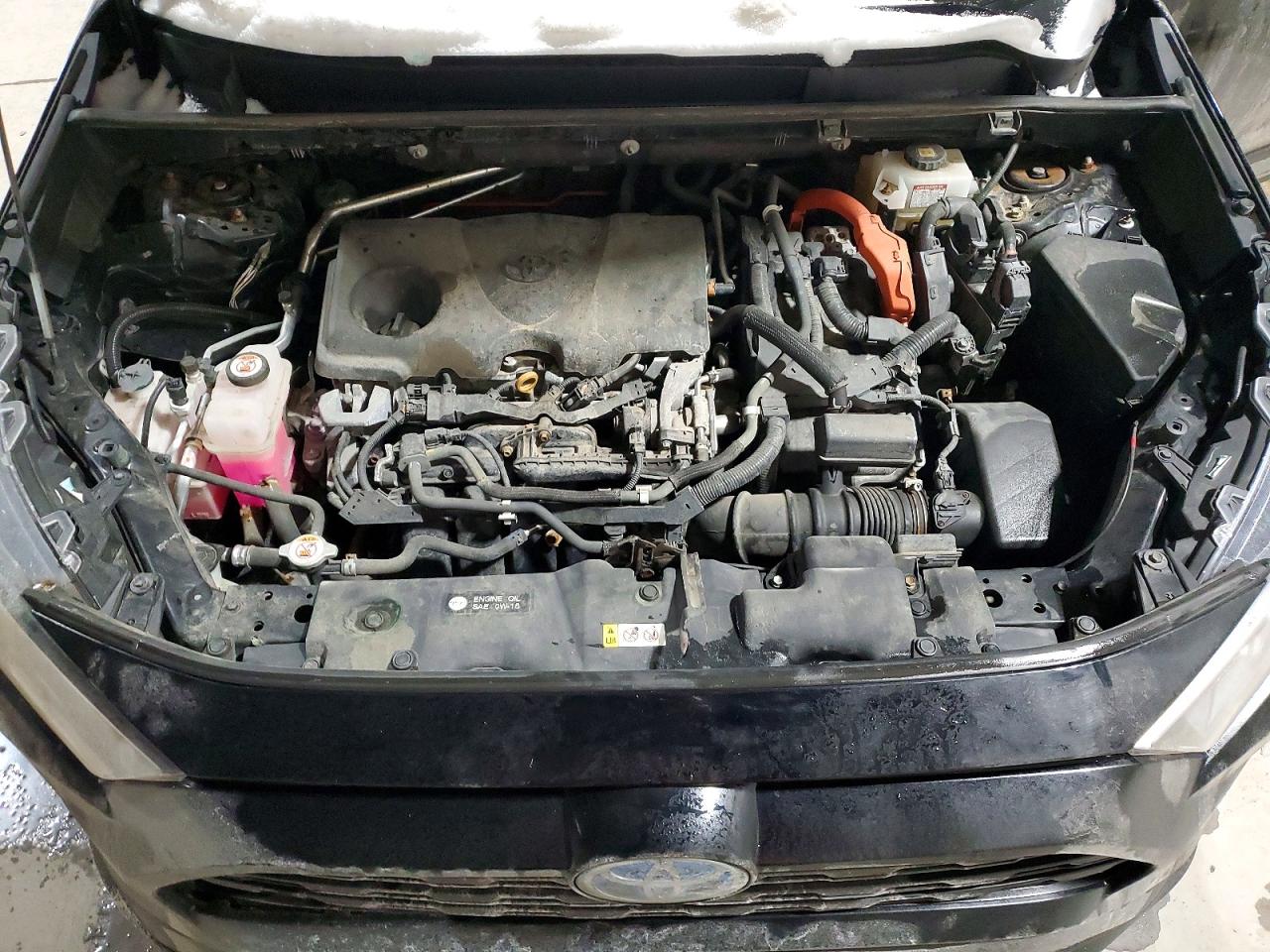 2021 TOYOTA RAV4 LE photo 12