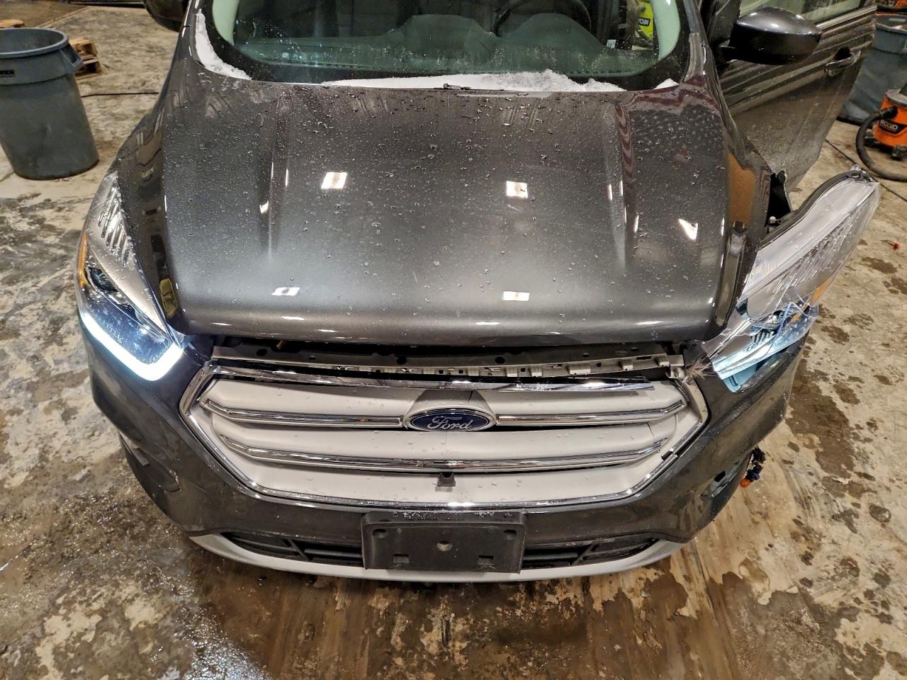 2019 FORD ESCAPE SEL photo 12
