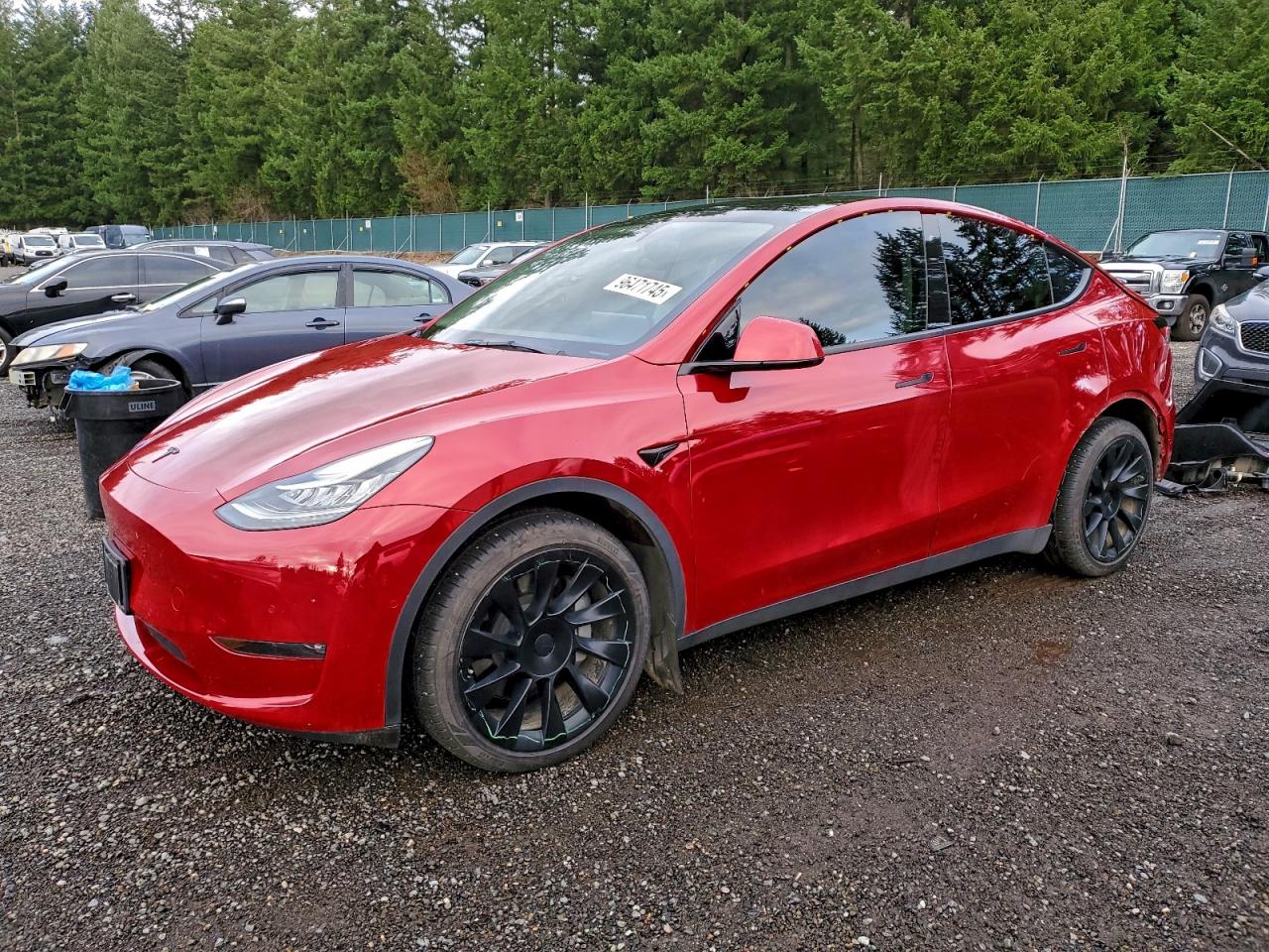 2021 TESLA MODEL Y