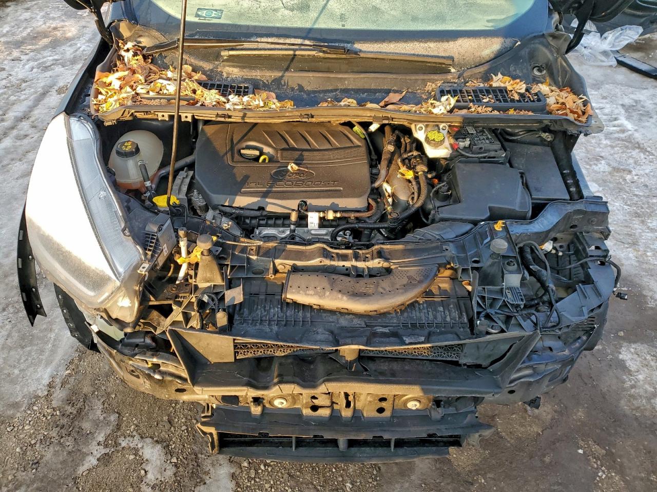 2017 FORD ESCAPE SE photo 11