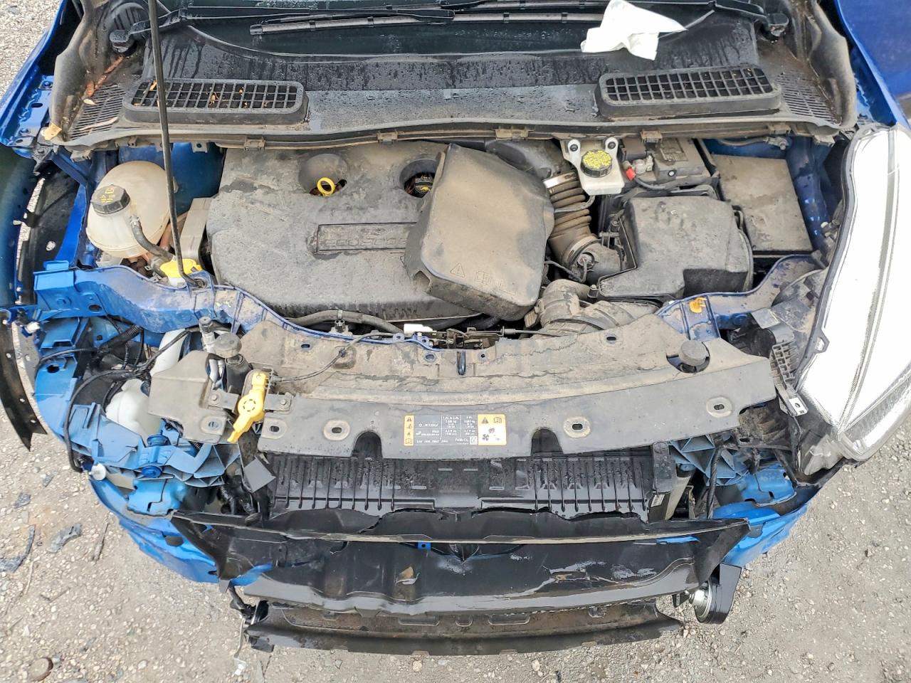 2017 FORD ESCAPE SE photo 12