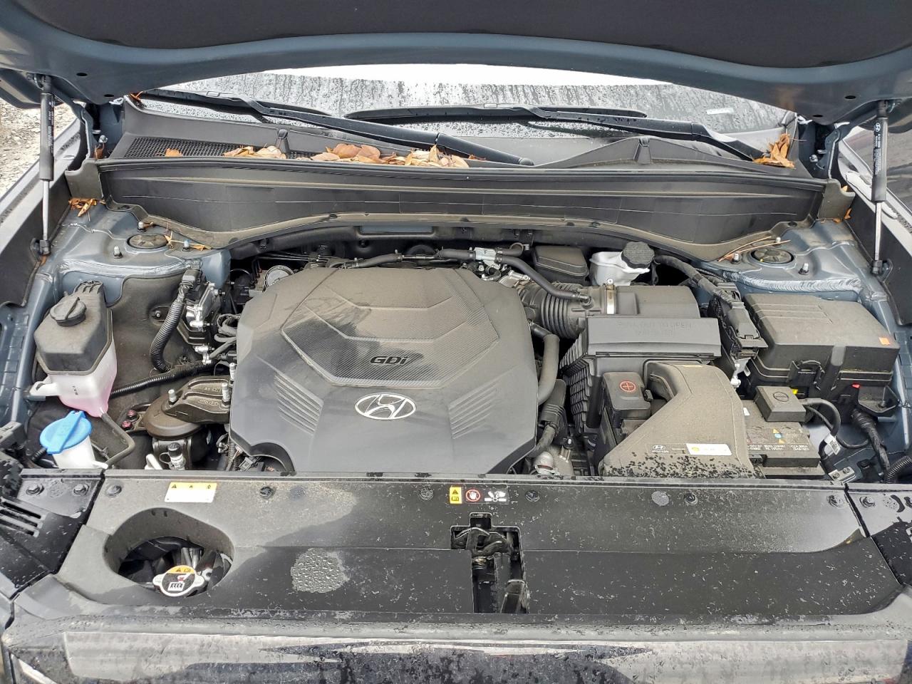 2024 HYUNDAI PALISADE LIMITED photo 12