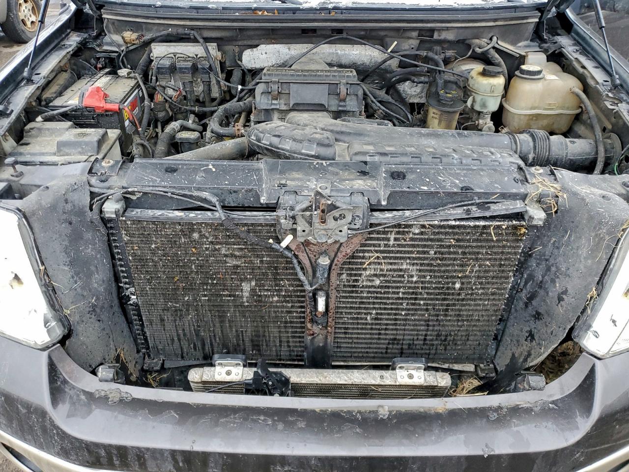 2007 FORD F150 SUPERCREW photo 11