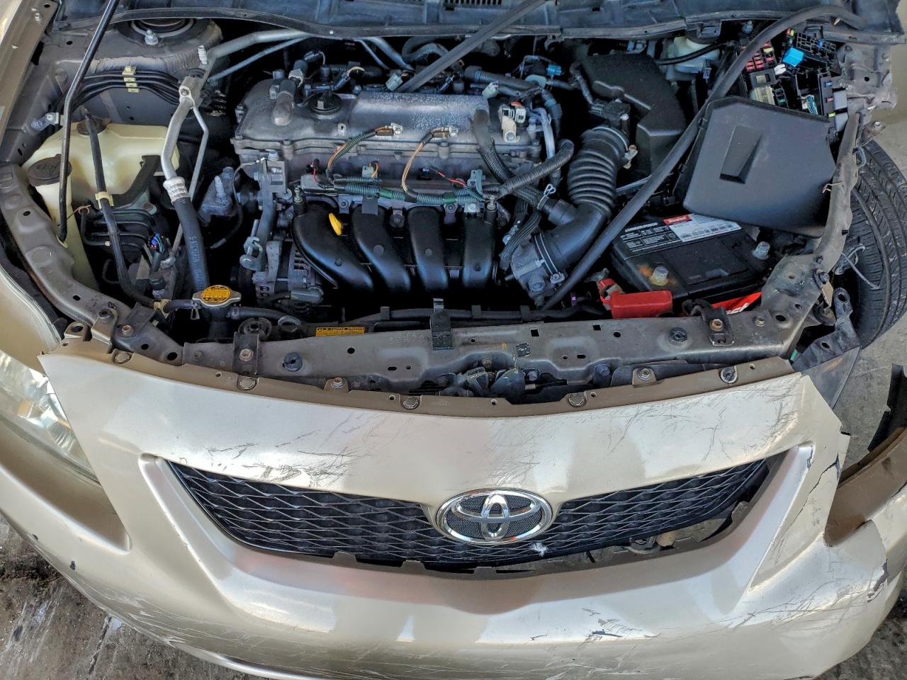 2010 TOYOTA COROLLA BASE photo 12